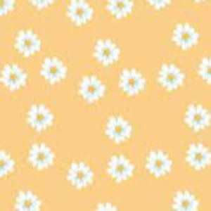 Meet your Posher, Aahana